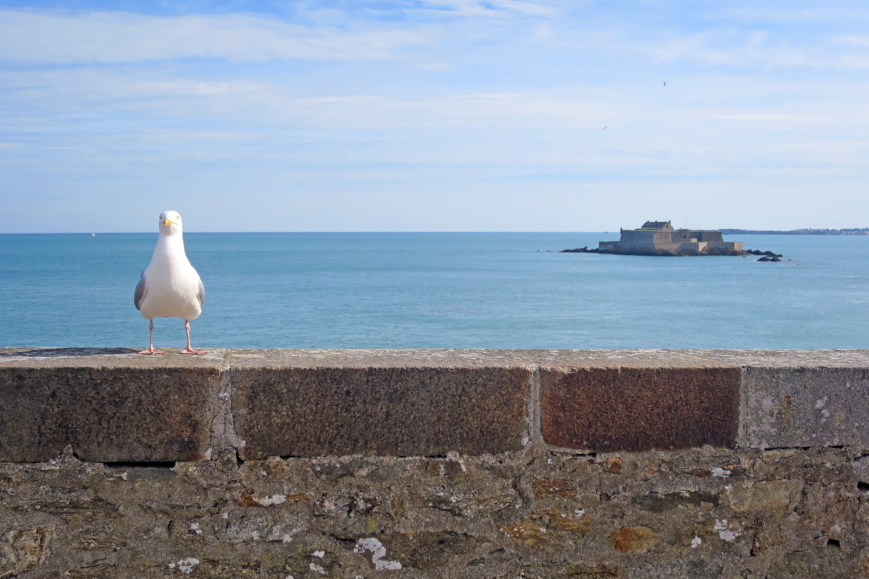 Très chic, très klick: Die 7 besten Tipps für die Bretagne Très chic, très klick: Die 7 besten Tipps für die Bretagne
