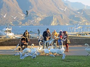 Tour durchs Tessin: Die 7 schönsten Stopps in der italienischsprachigen Schweiz
