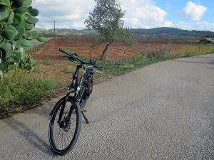 13 reasons why: Insider-Tipps für Ibiza – 13 Ideen für jeden Urlaubstyp