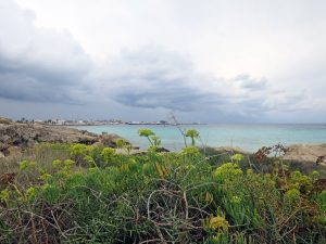 13 reasons why: Insider-Tipps für Ibiza – 13 Ideen für jeden Urlaubstyp