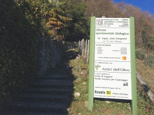 Tour durchs Tessin: Die 7 schönsten Stopps in der italienischsprachigen Schweiz