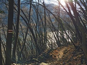 Tour durchs Tessin: Die 7 schönsten Stopps in der italienischsprachigen Schweiz