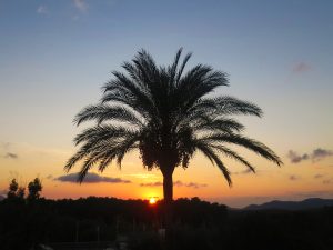 13 reasons why: Insider-Tipps für Ibiza – 13 Ideen für jeden Urlaubstyp