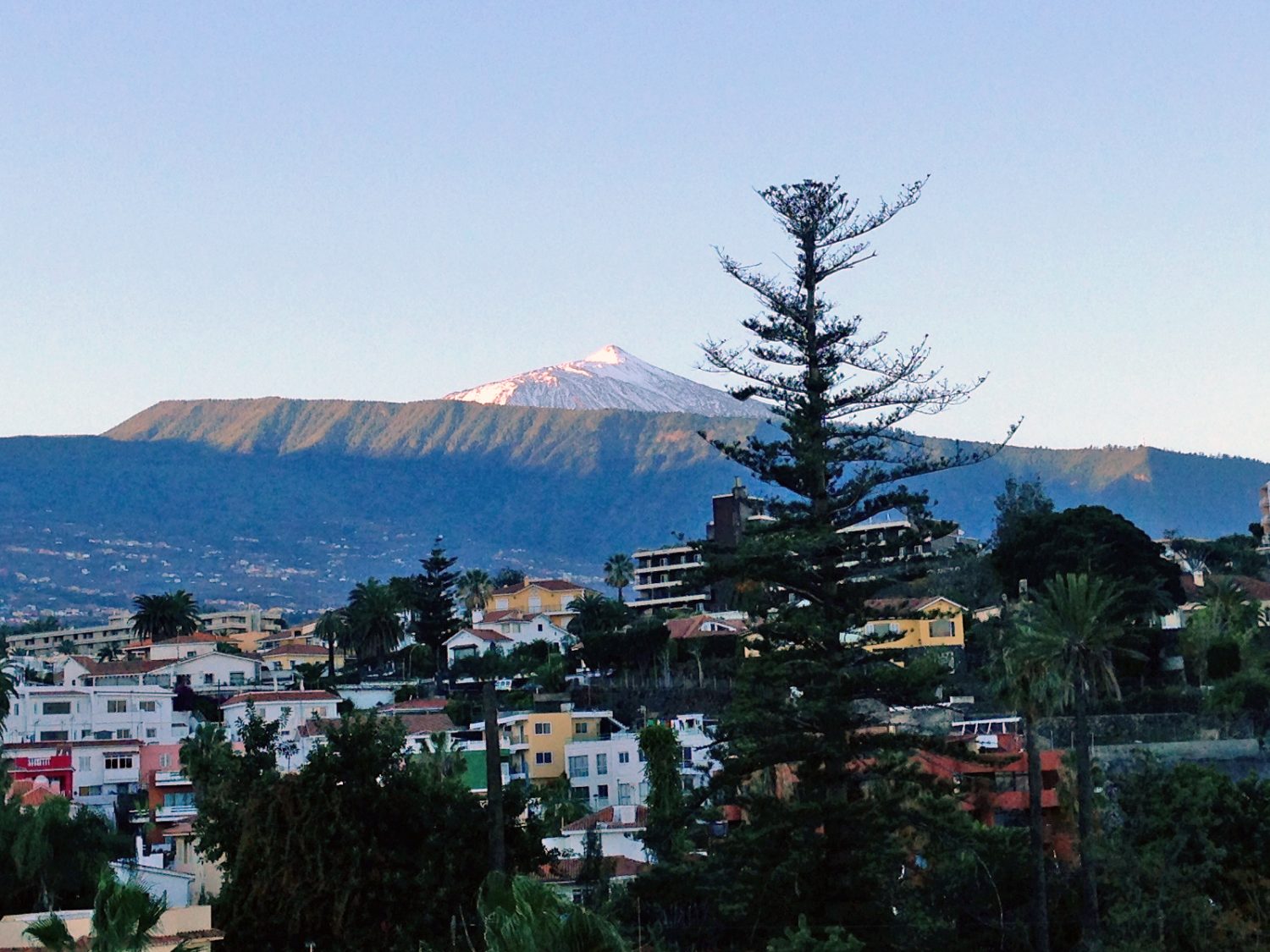 Teneriffa to go: 20 Tipps, Tricks und Fakten für den nächsten Urlaub auf den Kanaren