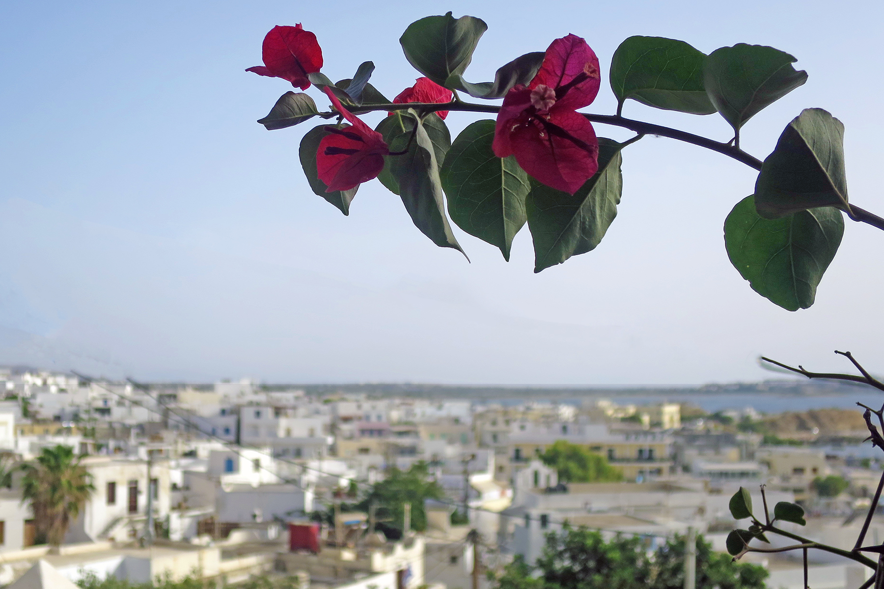 Kykladeninsel Naxos: Urlaub machen, wo Götter einst Geschichten erzählten 