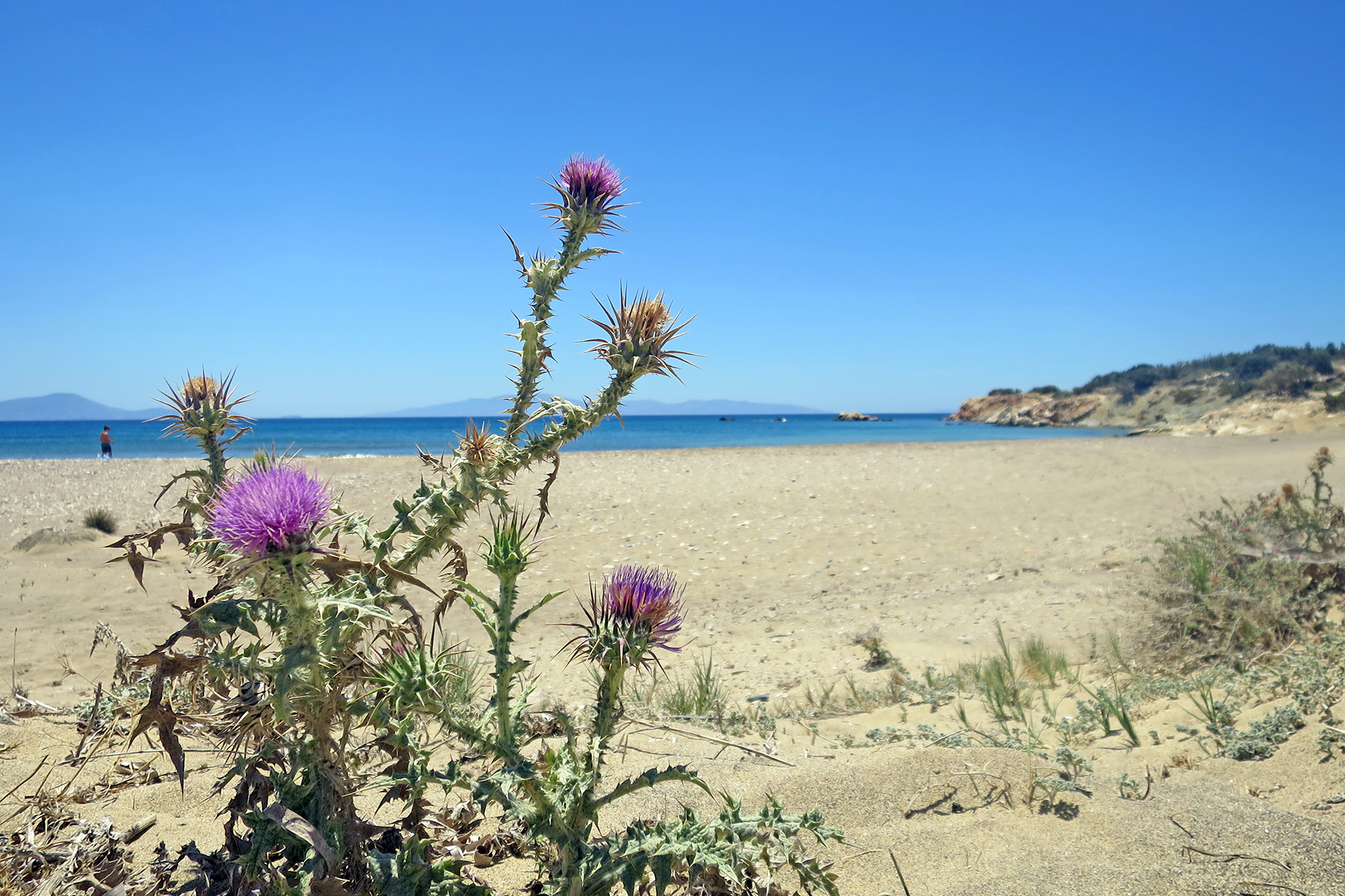 Kykladeninsel Naxos: Urlaub machen, wo Götter einst Geschichten erzählten