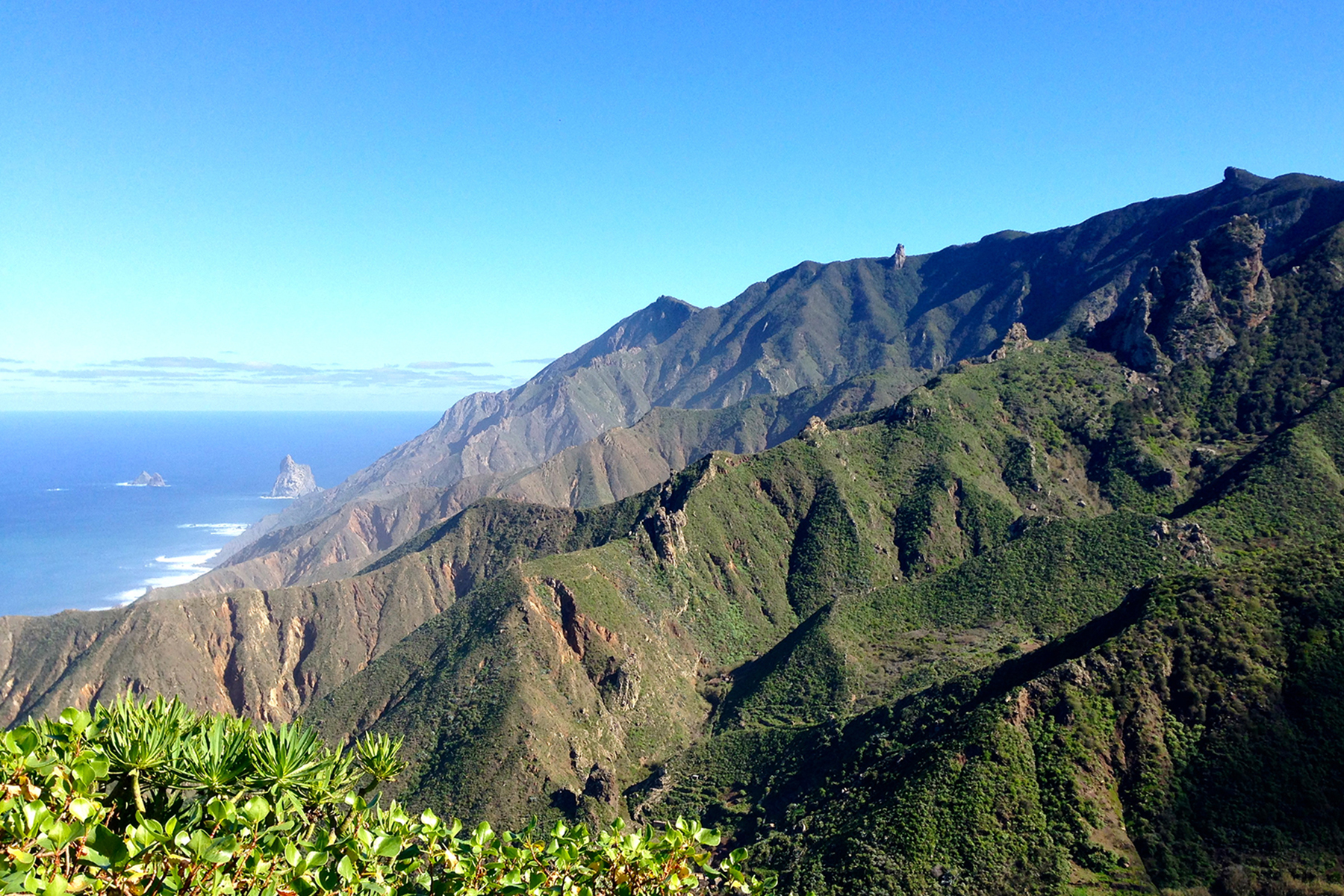Der Norden von Teneriffa: 9 Dinge, die man auf der größten Kanaren-Insel erleben muss