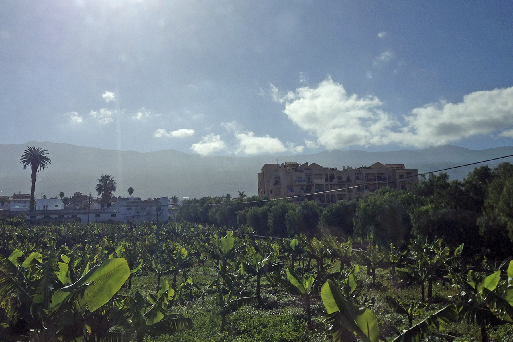 Der Norden von Teneriffa: 9 Dinge, die man auf der größten Kanaren-Insel erleben muss