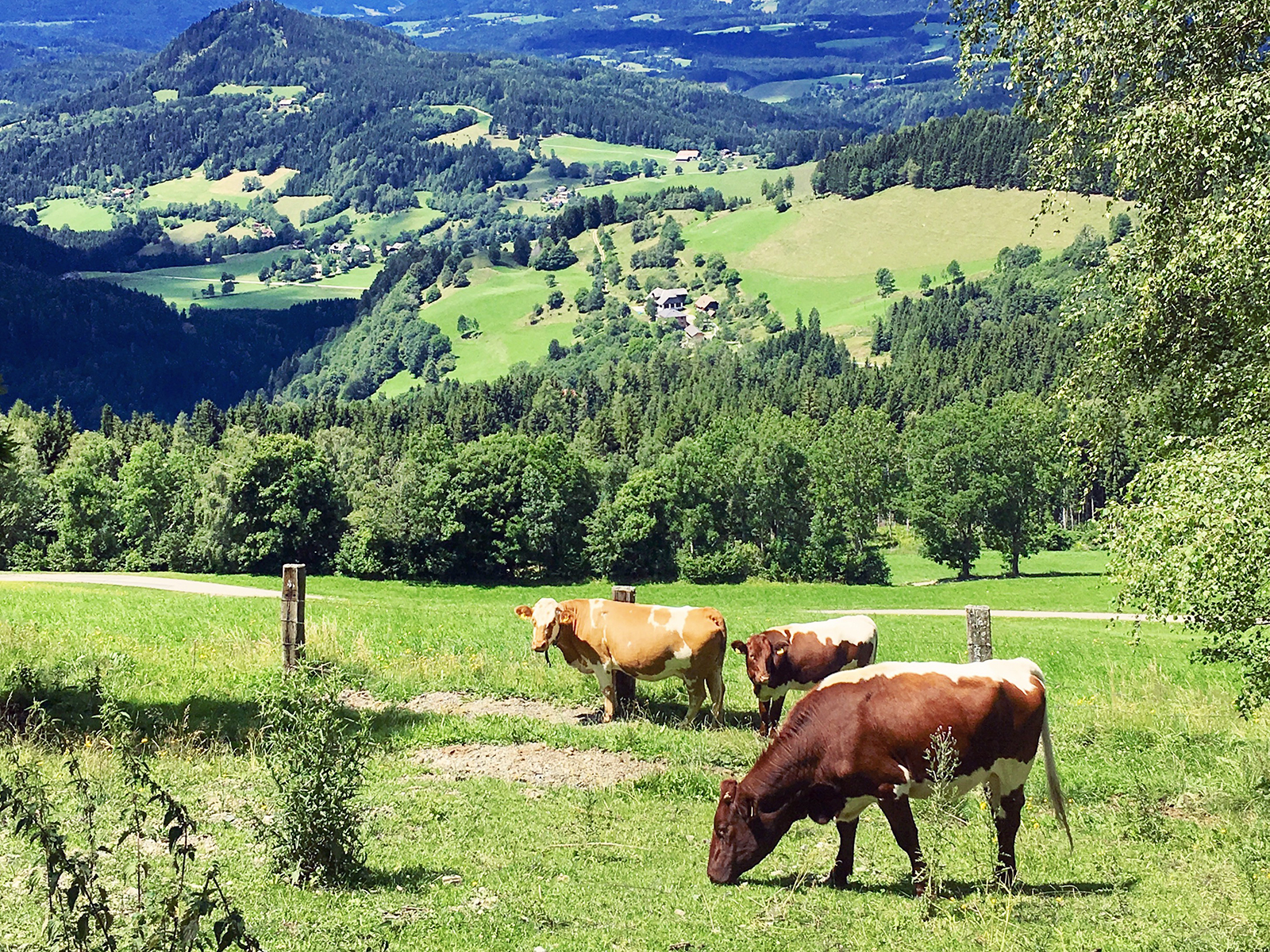 Kärnten für alle Sinne: Zurück zu jenem Ort, wo die Reise begann