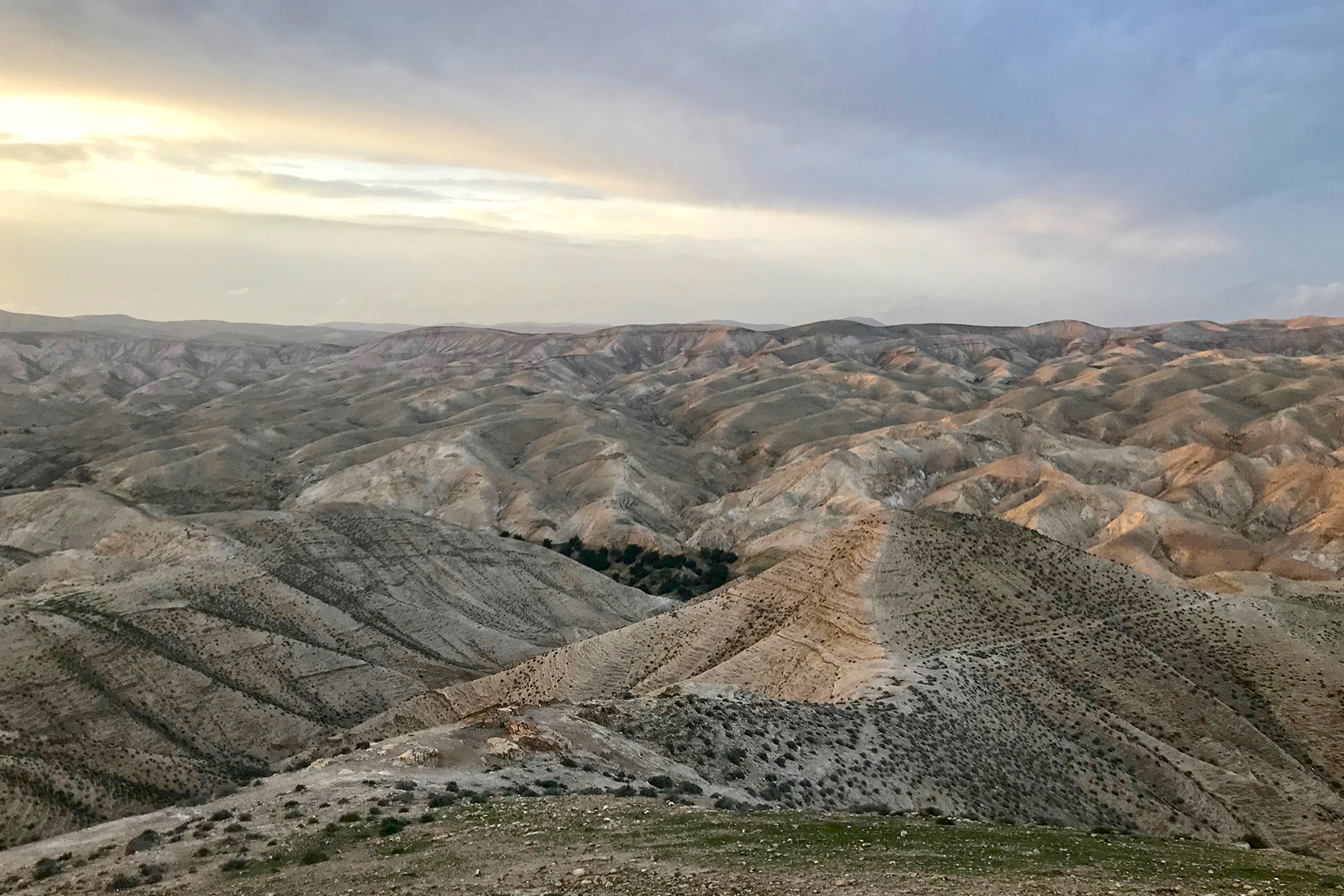 Negev in Israel: Wo die Dünen wispern und die Wüste spricht