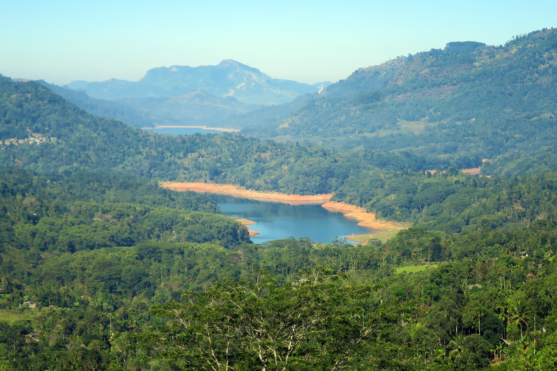 Abwarten und Tee trinken: Reise zu den Tee-Plantagen auf Sri Lanka