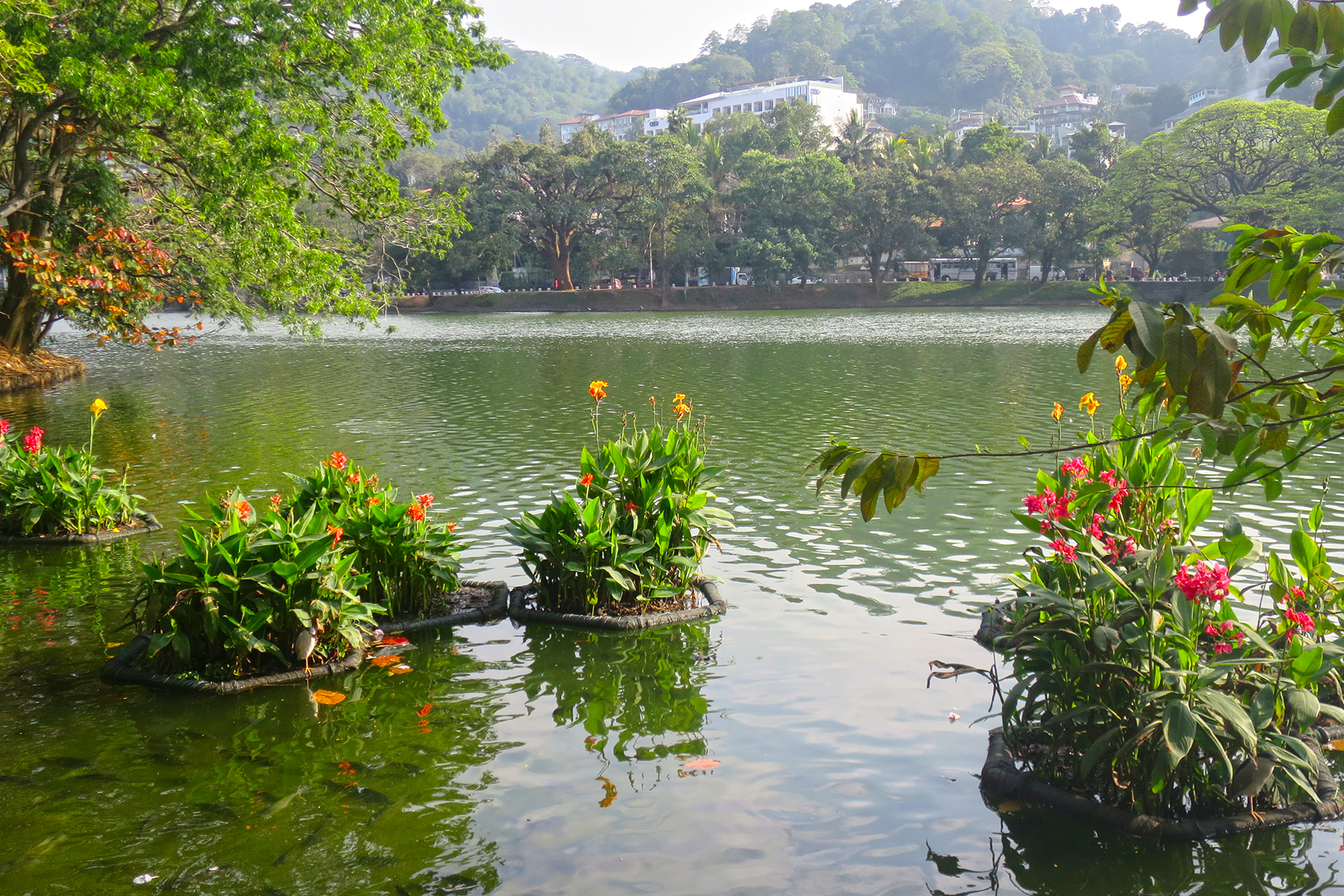 Hauptstadt im Hochland von Sri Lanka: 10 Dinge, die man in Kandy erleben muss