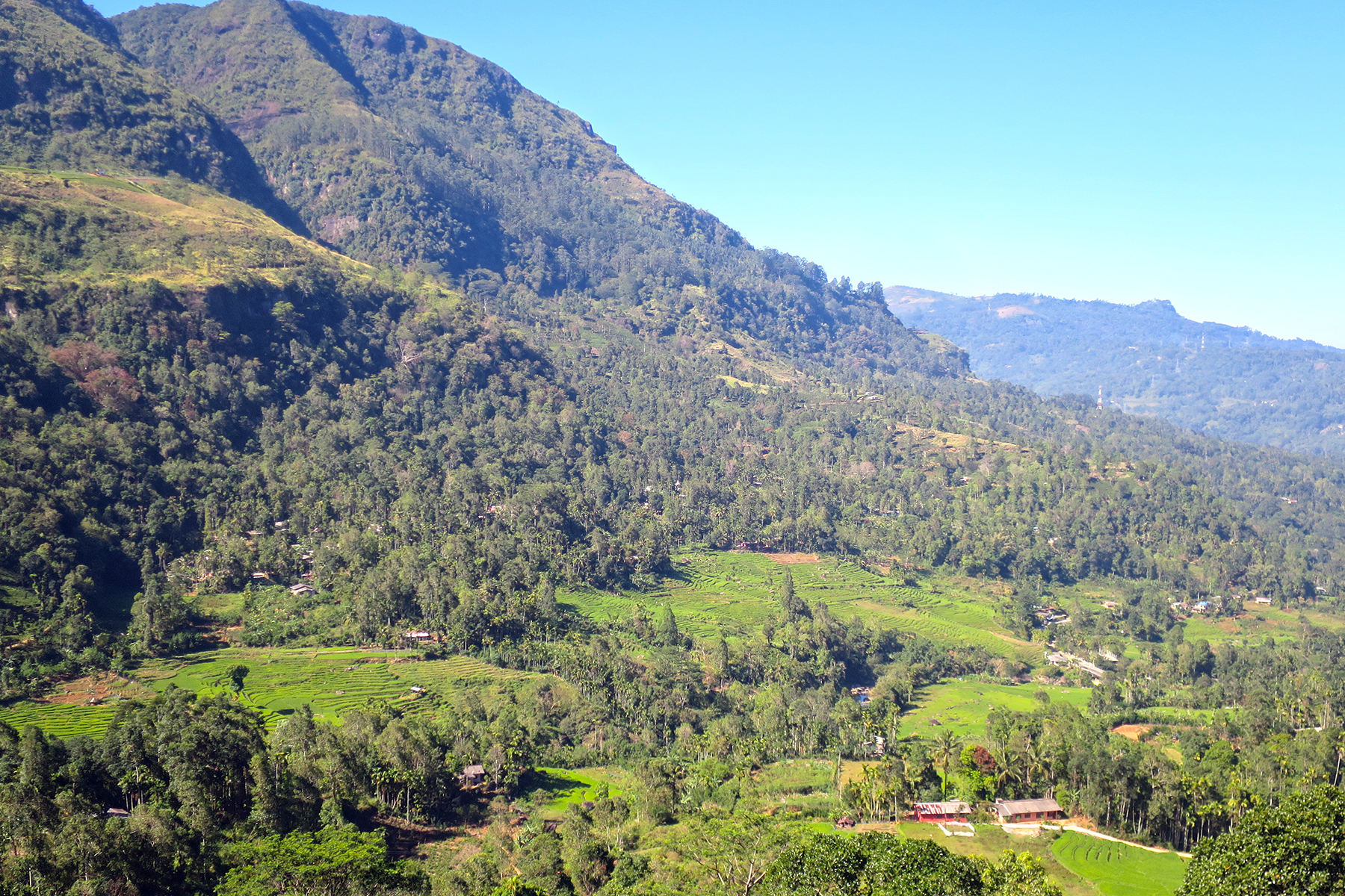 Abwarten und Tee trinken: Reise zu den Tee-Plantagen auf Sri Lanka