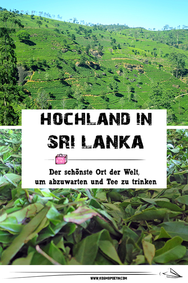 Abwarten und Tee trinken: Reise zu den Tee-Plantagen auf Sri Lanka