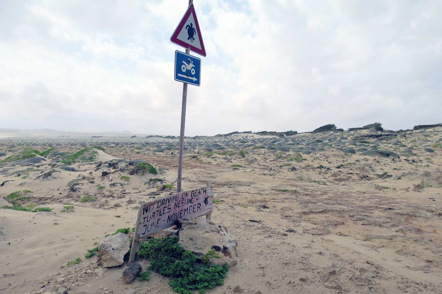 Ausflüge auf Boa Vista: 11 Highlights für den Kapverden-Urlaub auf Boa Vista