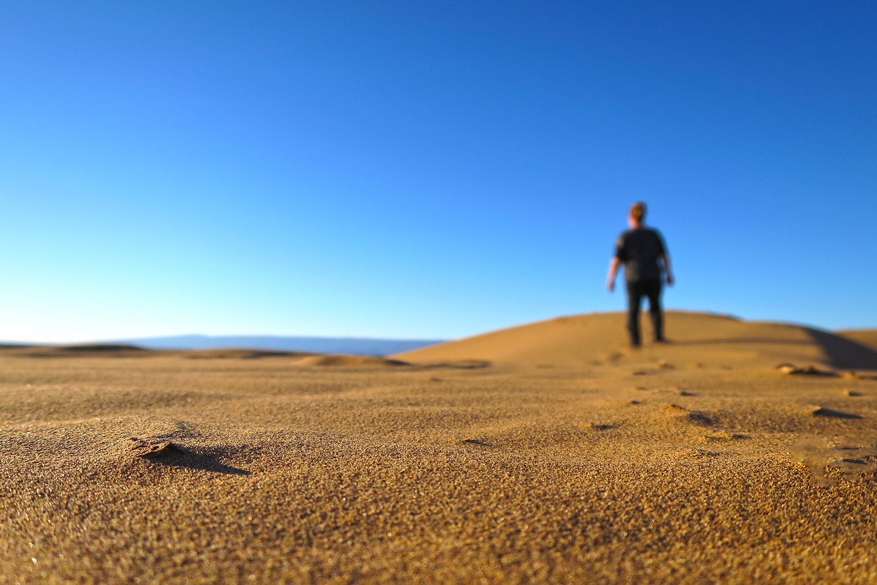 Wandern in der Wüste: 7 Tipps & Tools für eine Wanderreise durch die Sahara