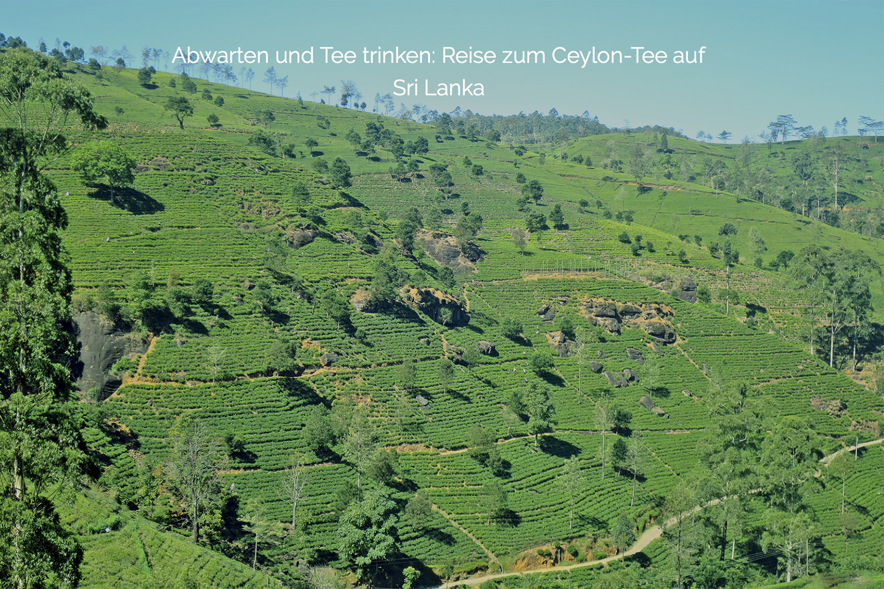 Reise-Special Sri Lanka: Urlaubs-Guide für den nächsten Trip nach Sri Lanka