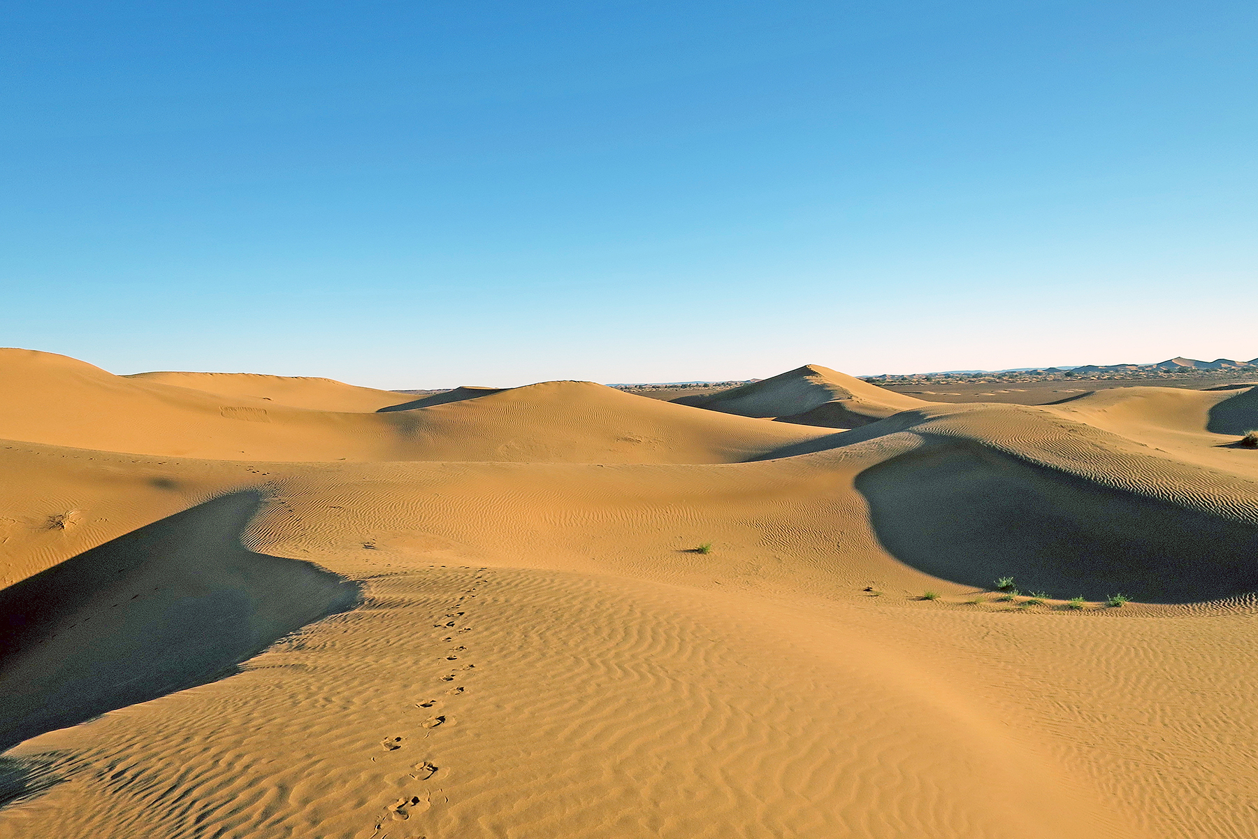 Wandern in der Wüste: 7 Tipps & Tools für eine Wanderreise durch die Sahara