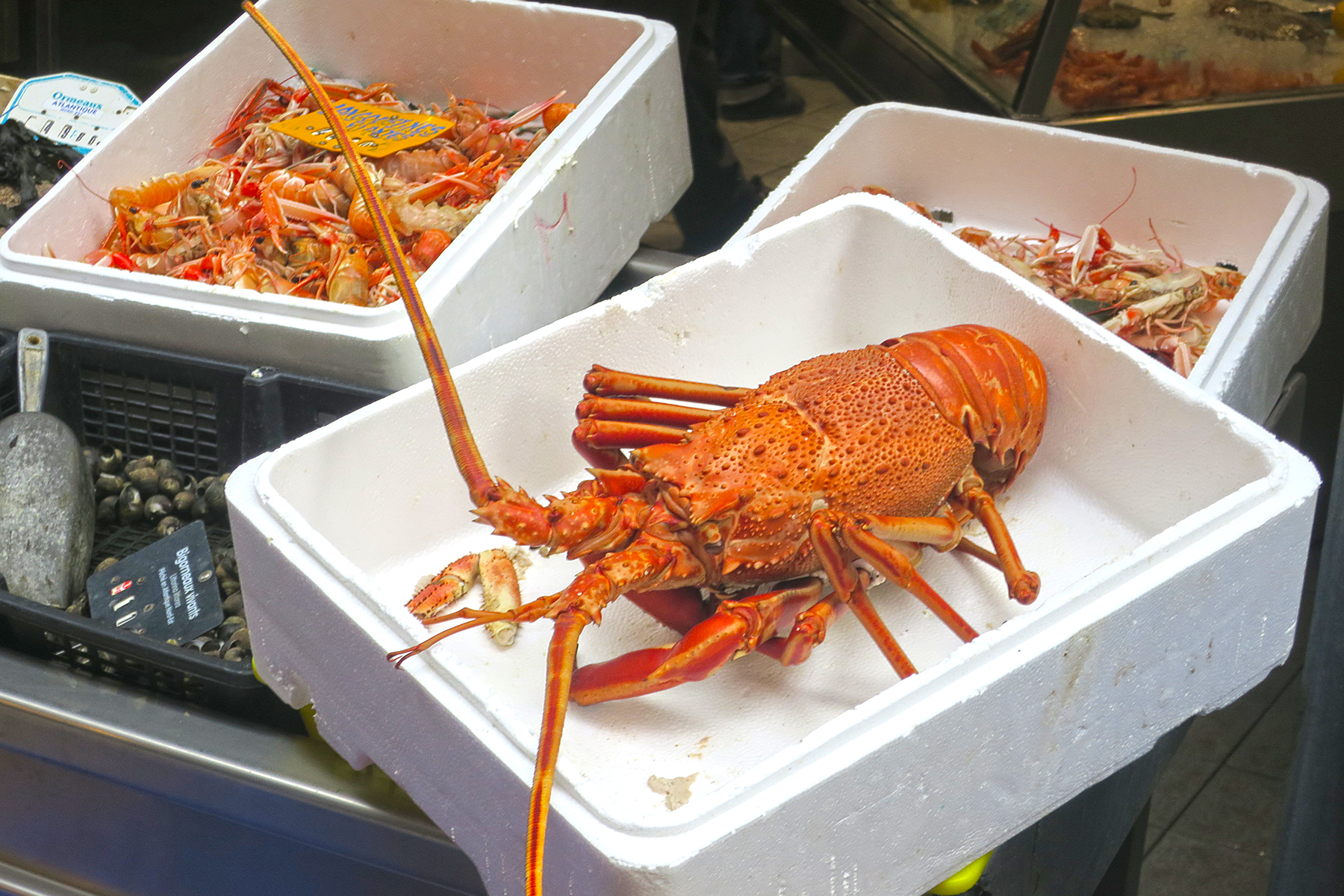 Food-Guide Bretagne: 12 bretonische Spezialitäten, die man unbedingt probieren muss