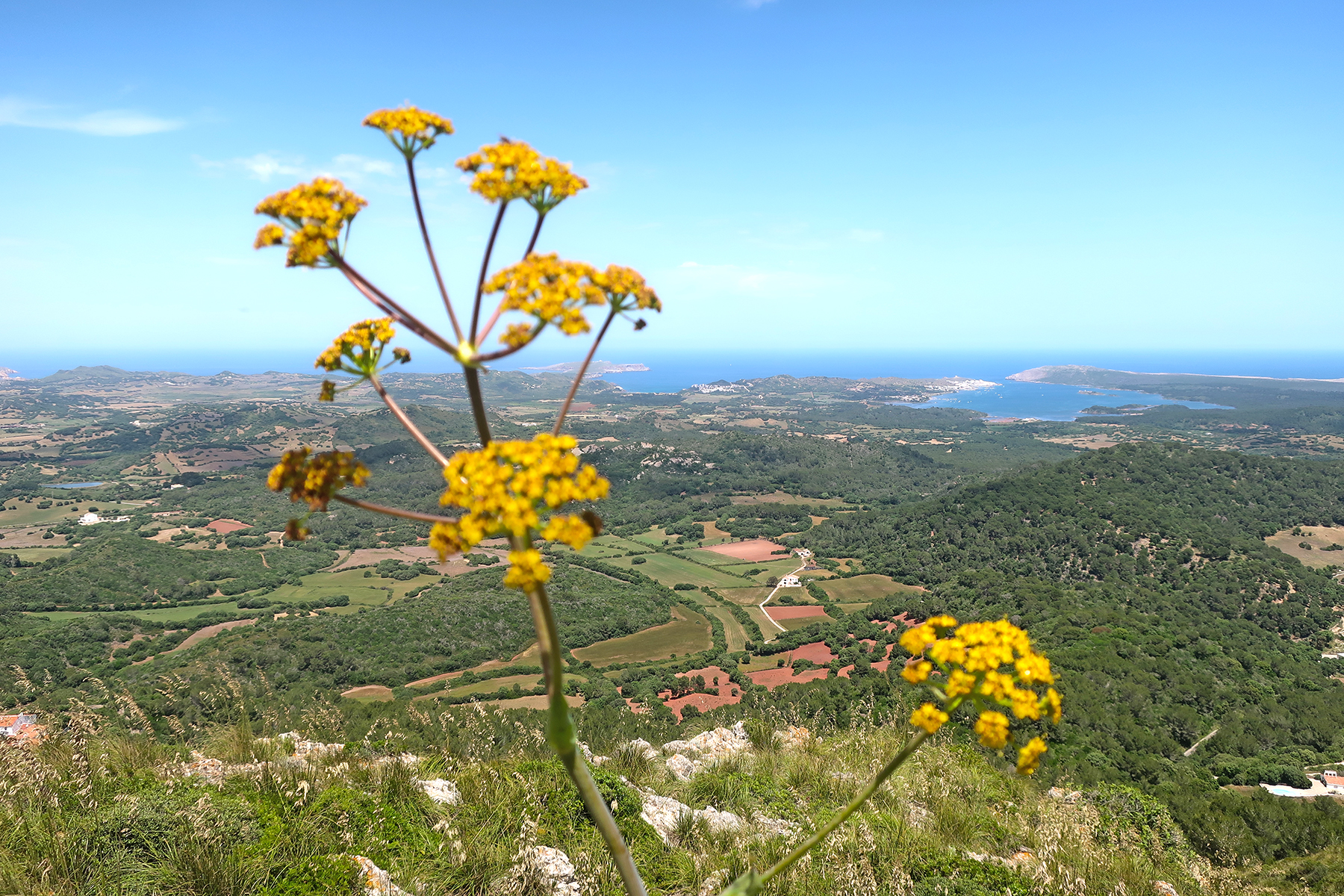Menorca statt Mallorca: 15 Highlights, die man im Urlaub auf Menorca erleben muss