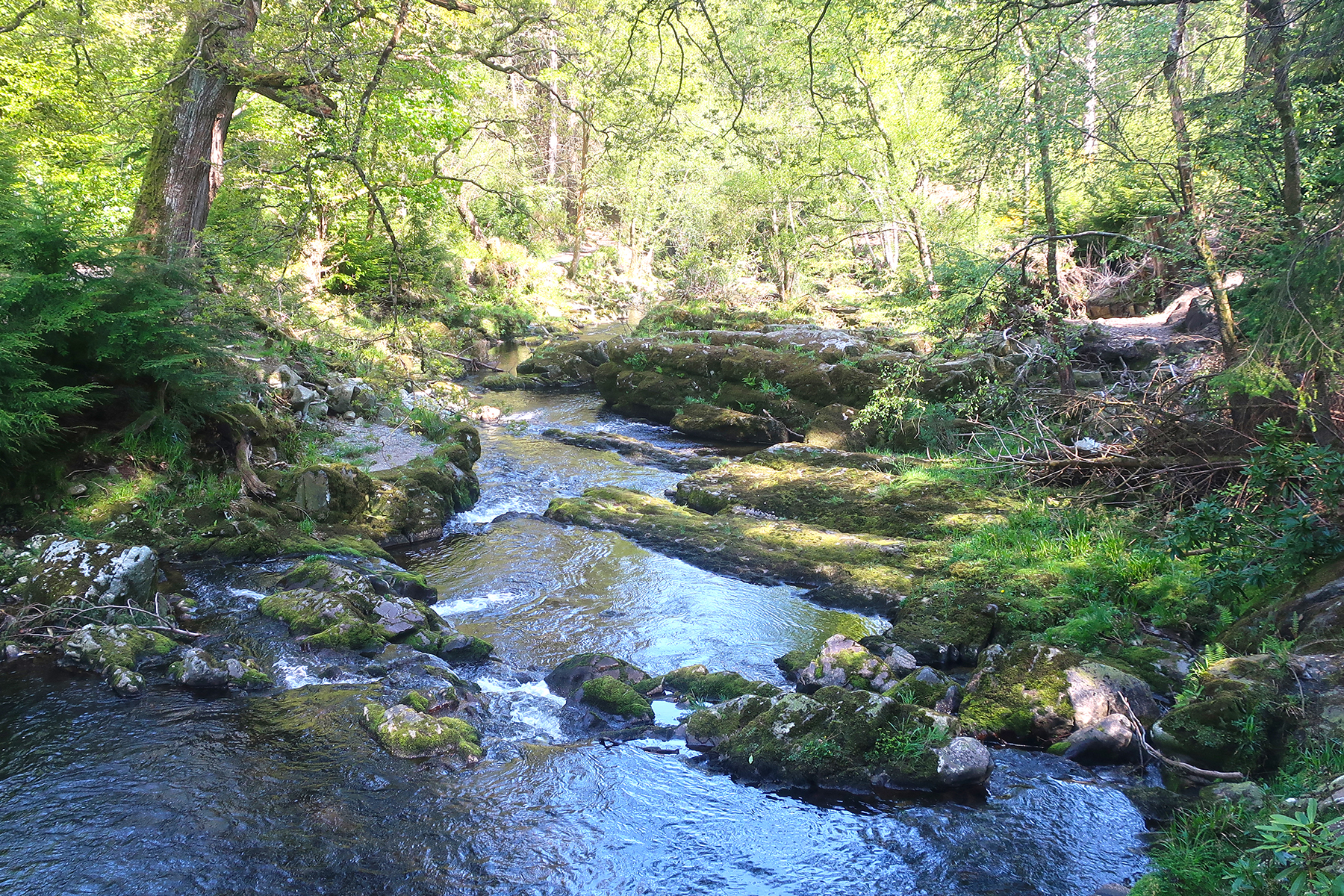 Game of Thrones-Drehorte: 20 Filmlocations in Nordirland, zu denen GOT-Fans reisen müssen