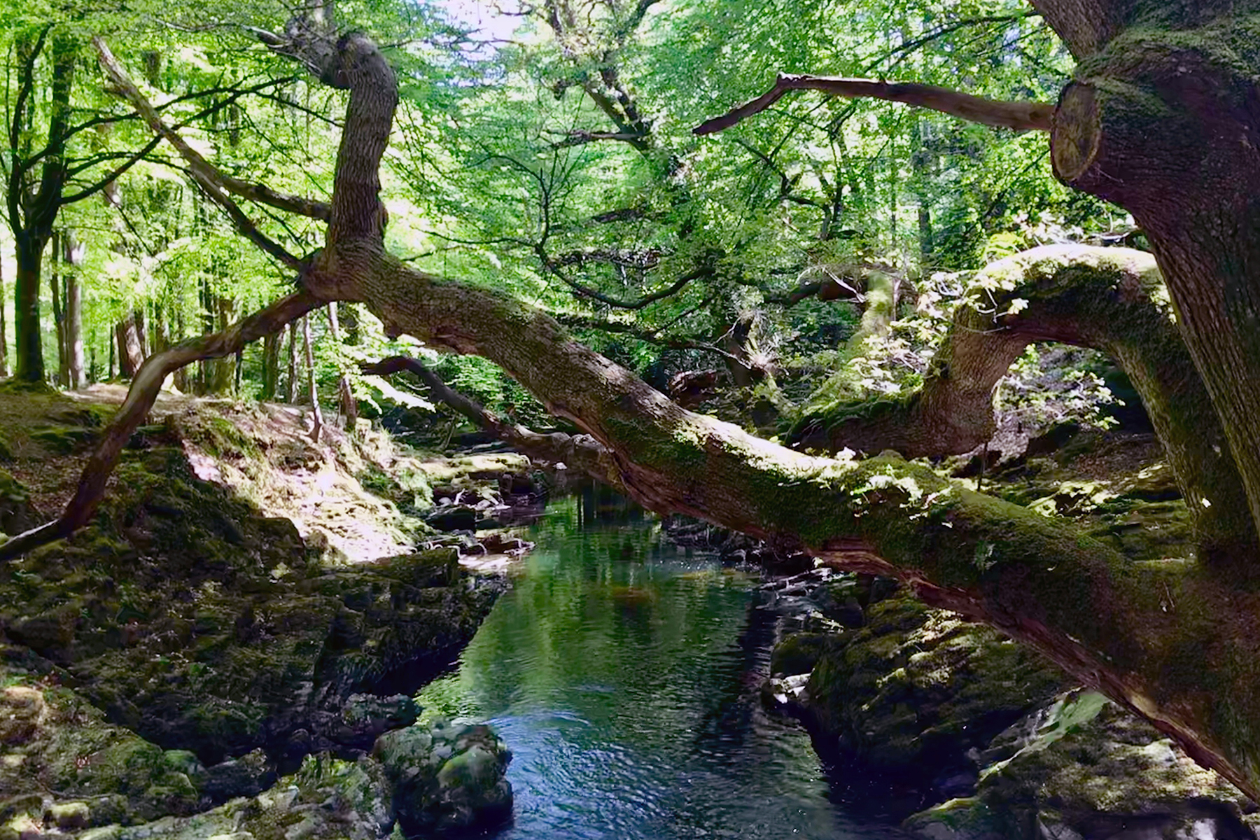 Game of Thrones-Drehorte: 20 Filmlocations in Nordirland, zu denen GOT-Fans reisen müssen