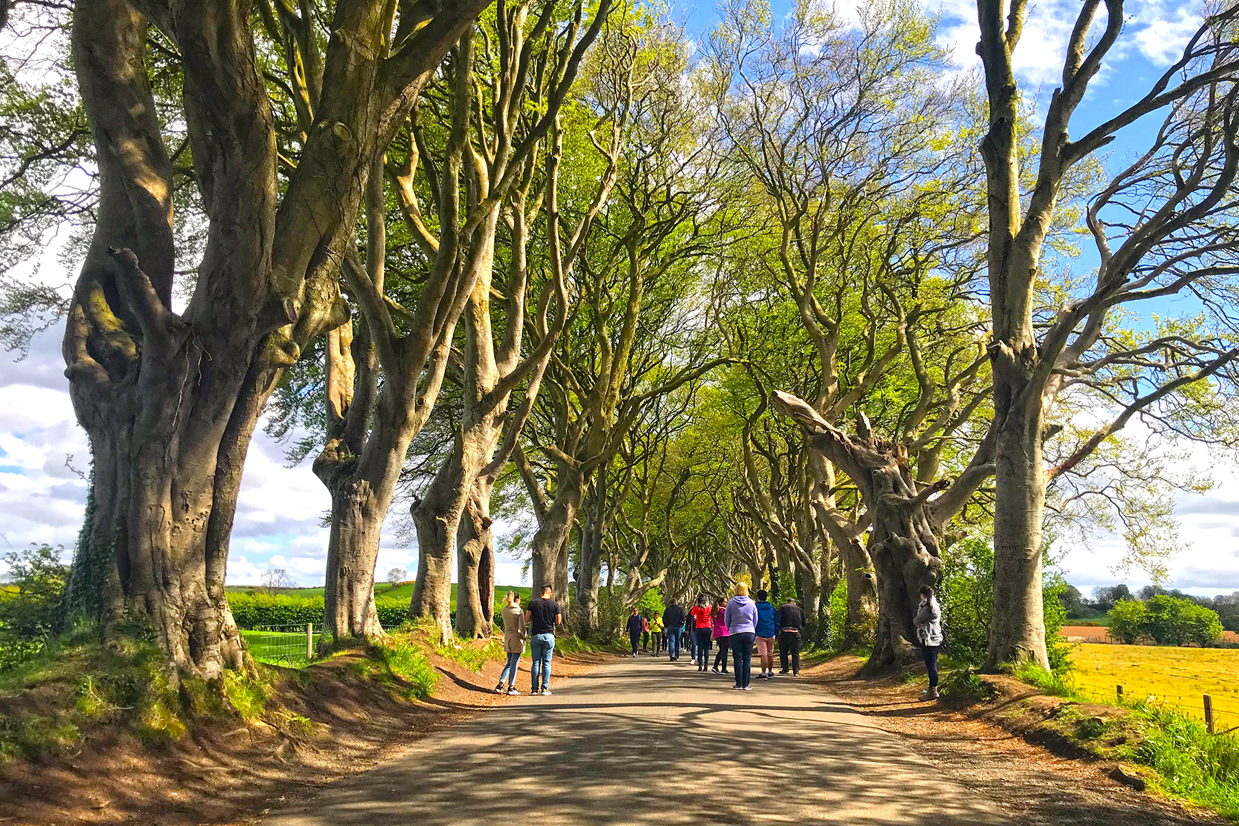 Game of Thrones-Drehorte: 20 Filmlocations in Nordirland, zu denen GOT-Fans reisen müssen