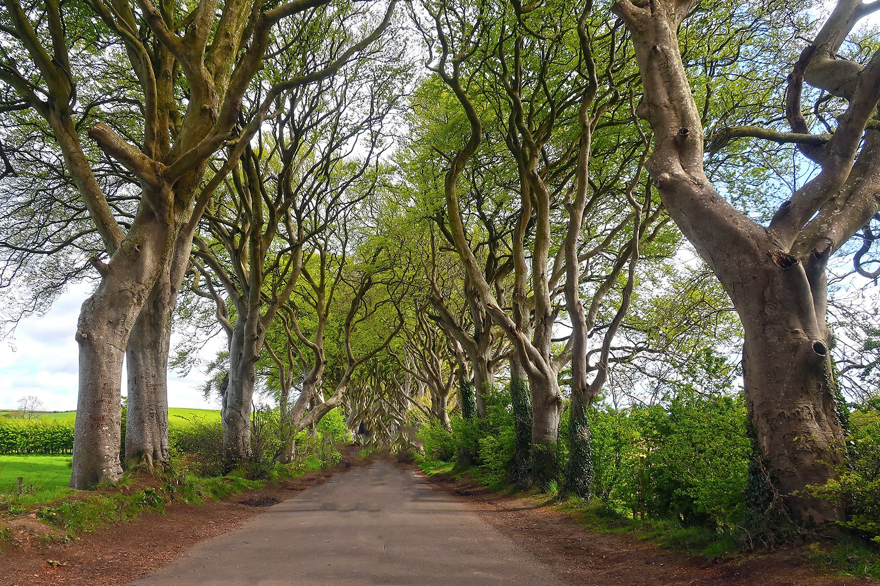 Game of Thrones-Drehorte: 20 Filmlocations in Nordirland, zu denen GOT-Fans reisen müssen