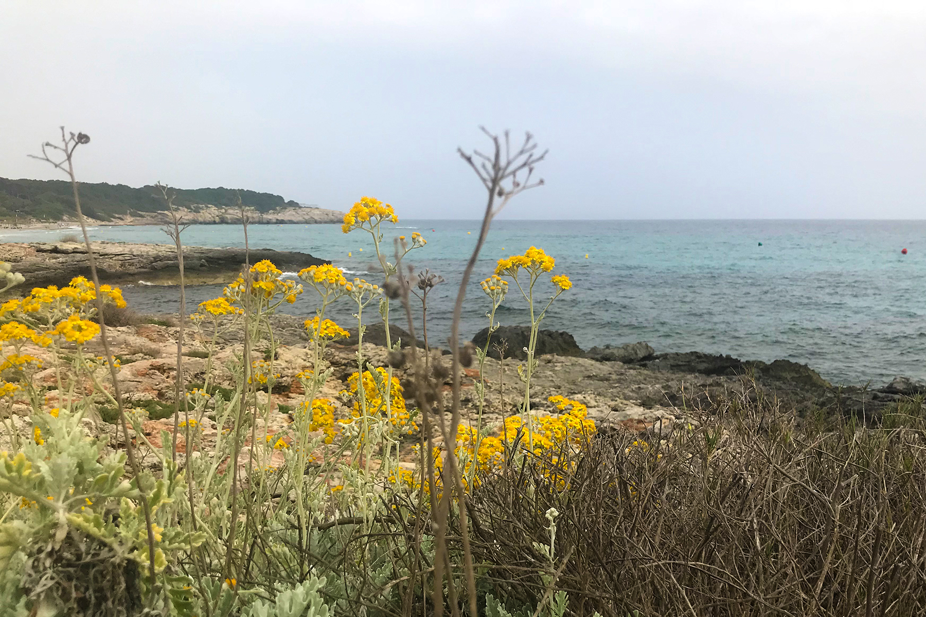 Beach-Guide Menorca: Die 16 schönsten Strände auf Menorca