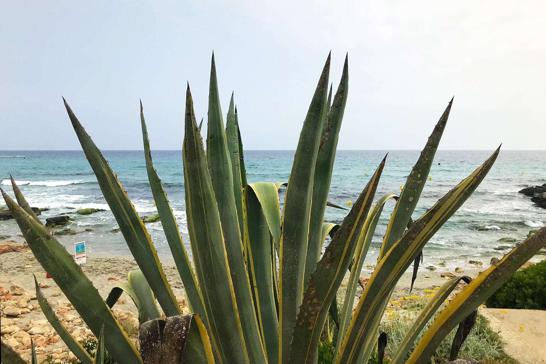 Beach-Guide Menorca: Die 16 schönsten Strände auf Menorca