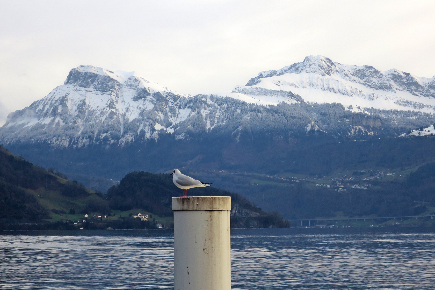 Luzern am Vierwaldstättersee: 13 Insidertipps für Luzern