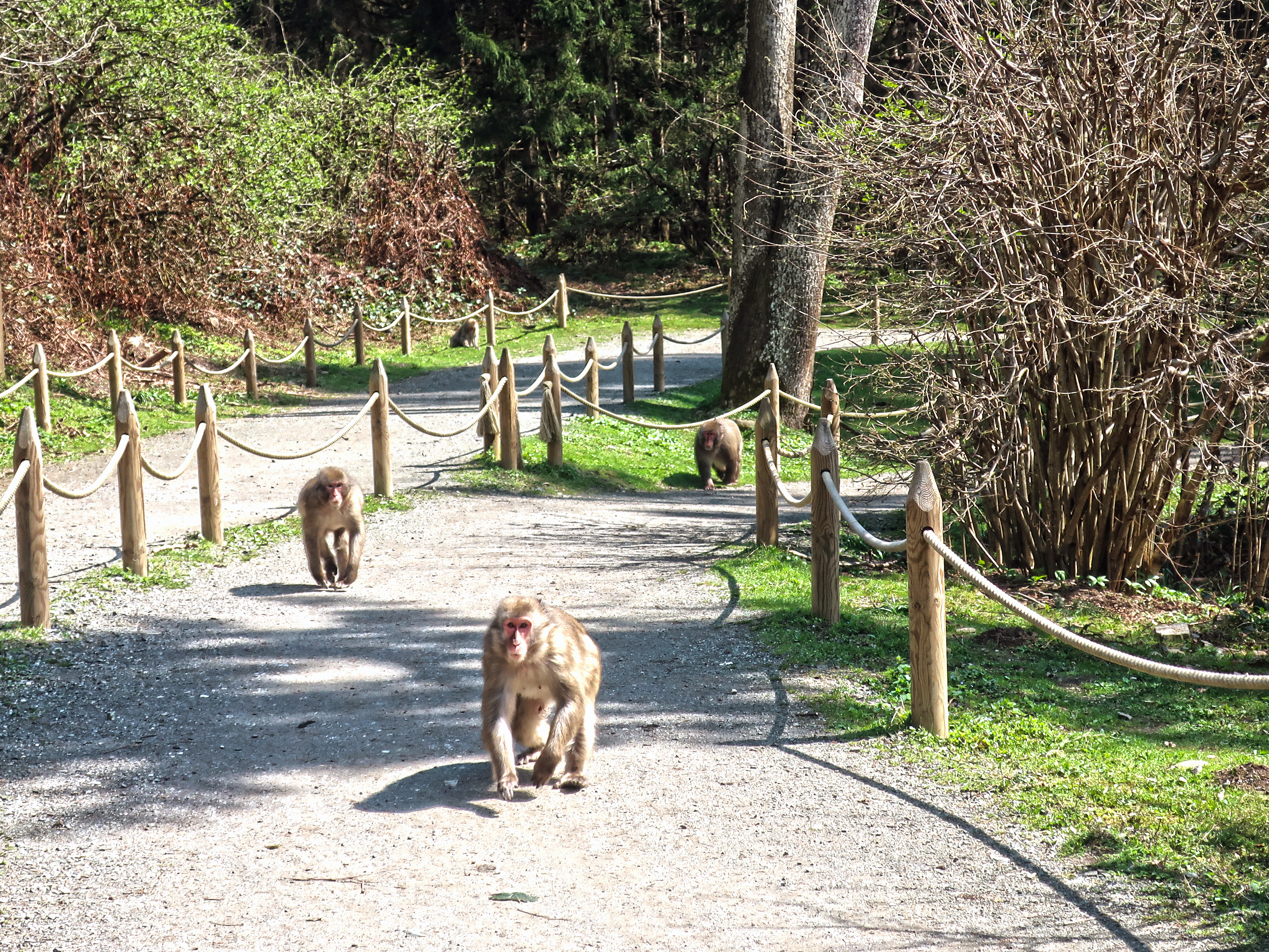 Kärnten für Kinder: 7 Highlighs in der Region Villach zwischen Abenteuer & Auszeit