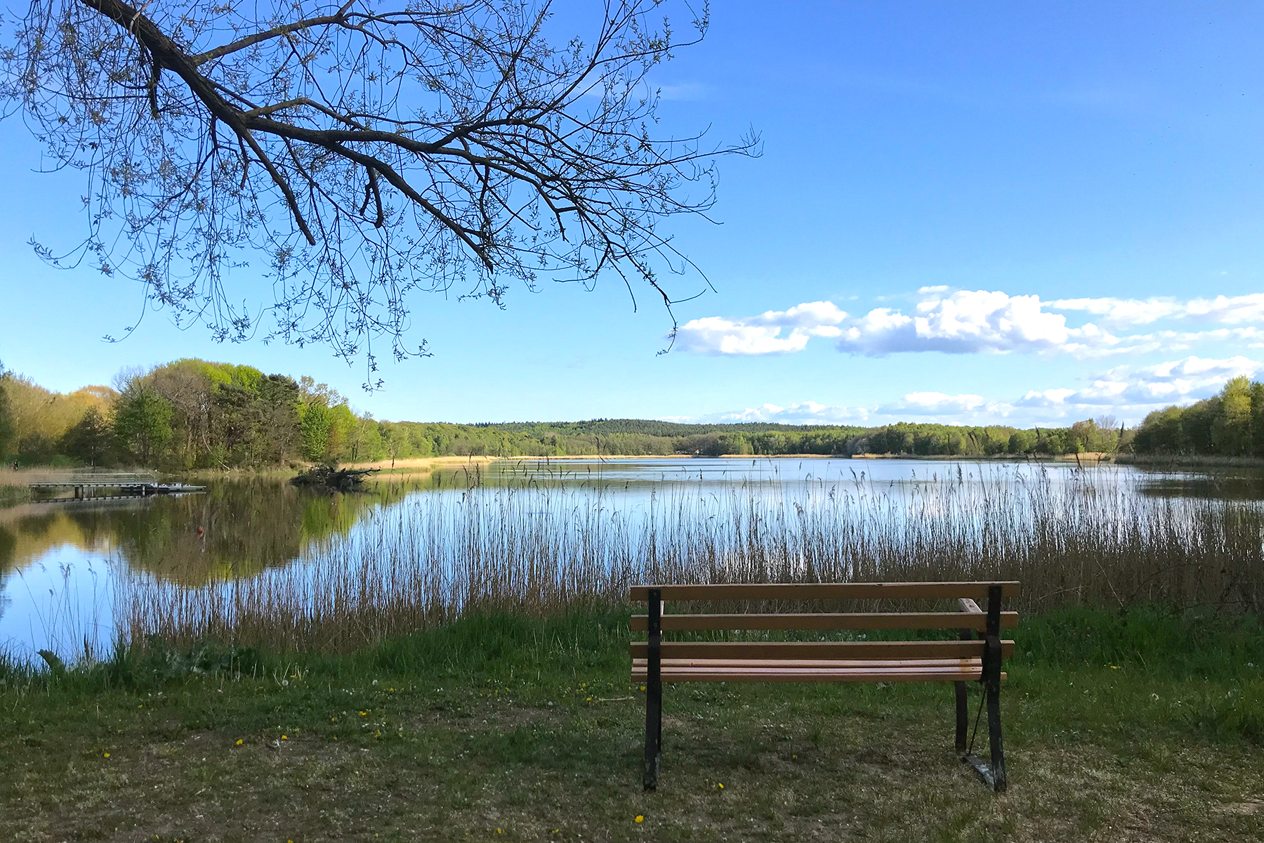Bernsteinbäder Usedom: Wo die Ostsee schäumt und der Bernstein schwimmt