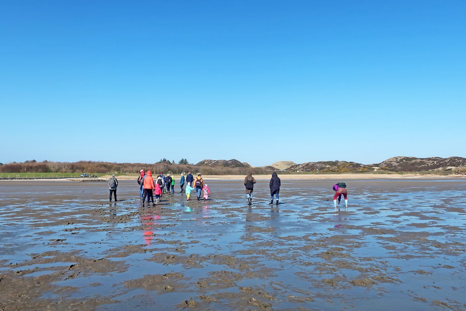 Nationalpark Wattenmeer auf Sylt Wandern durch das Wunder Watt