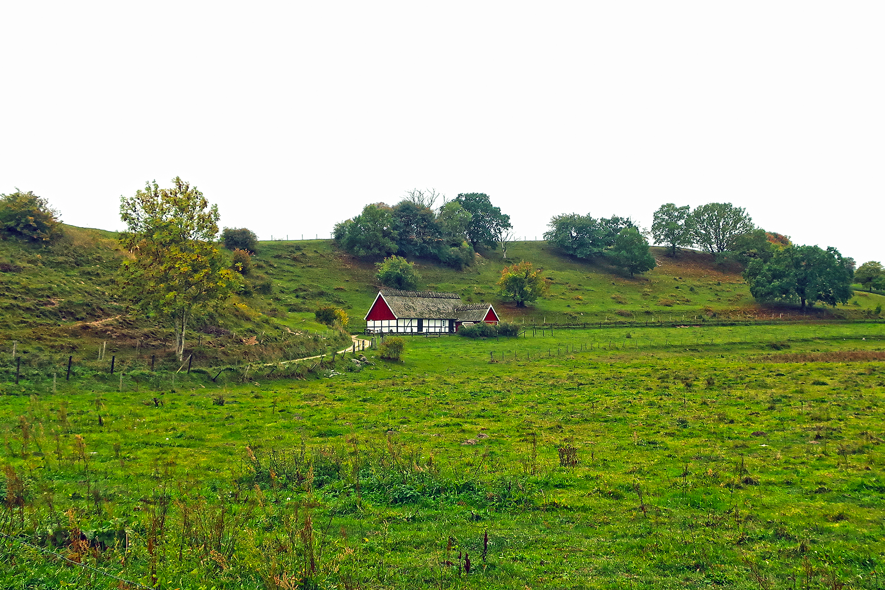 Skåne in Südschweden: Eine wunderbare Reise zu Nils Holgersson nach Schonen