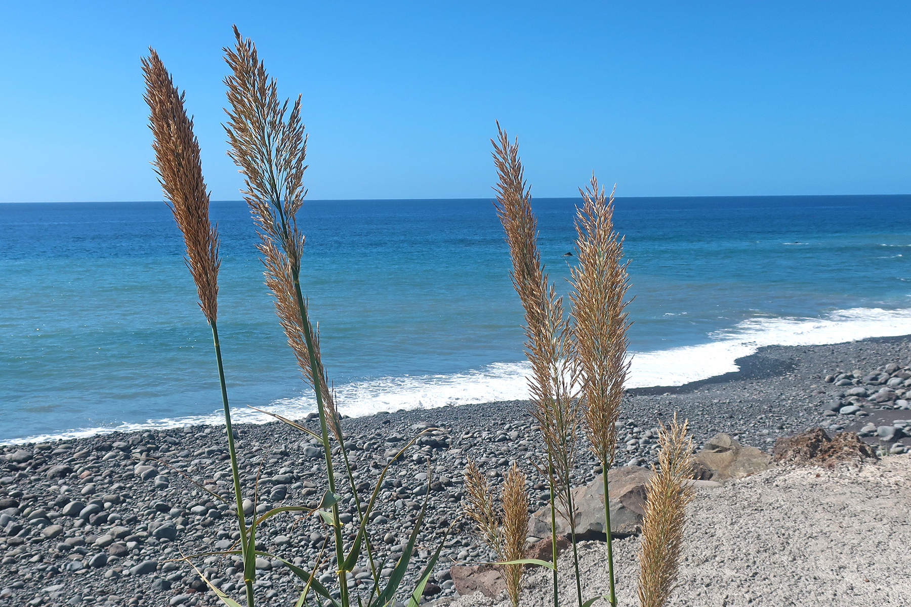 Fajã dos Padres: Die Insel an der Insel auf Madeira
