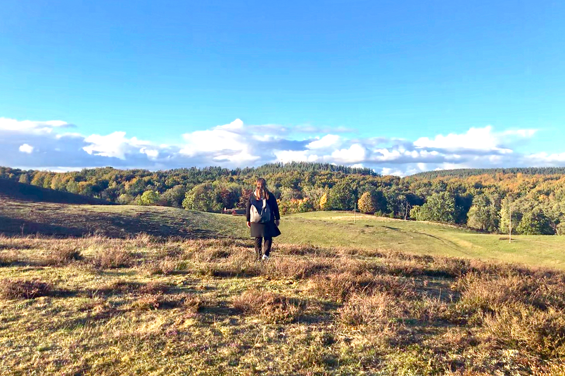 Skåne in Südschweden: Eine wunderbare Reise zu Nils Holgersson nach Schonen