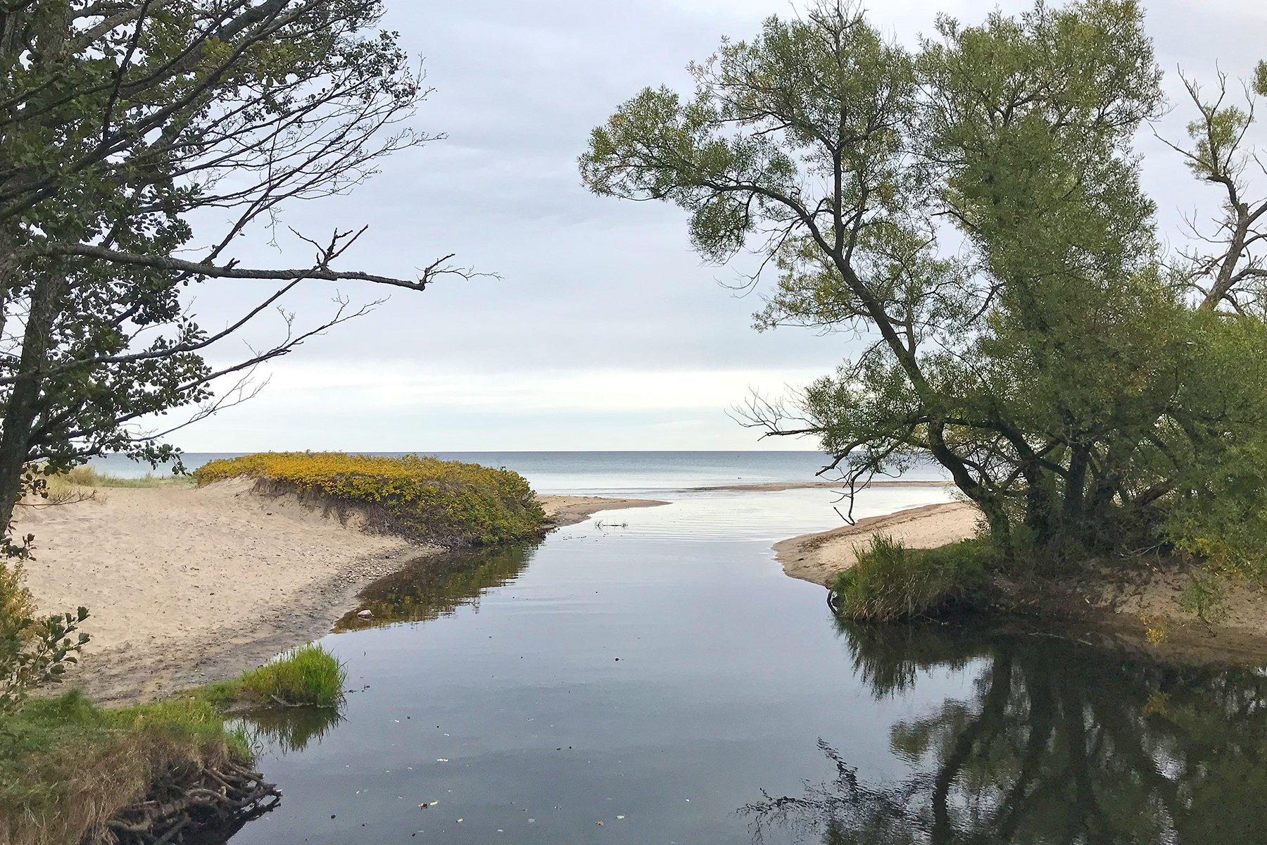 Skåne in Südschweden: Eine wunderbare Reise zu Nils Holgersson nach Schonen