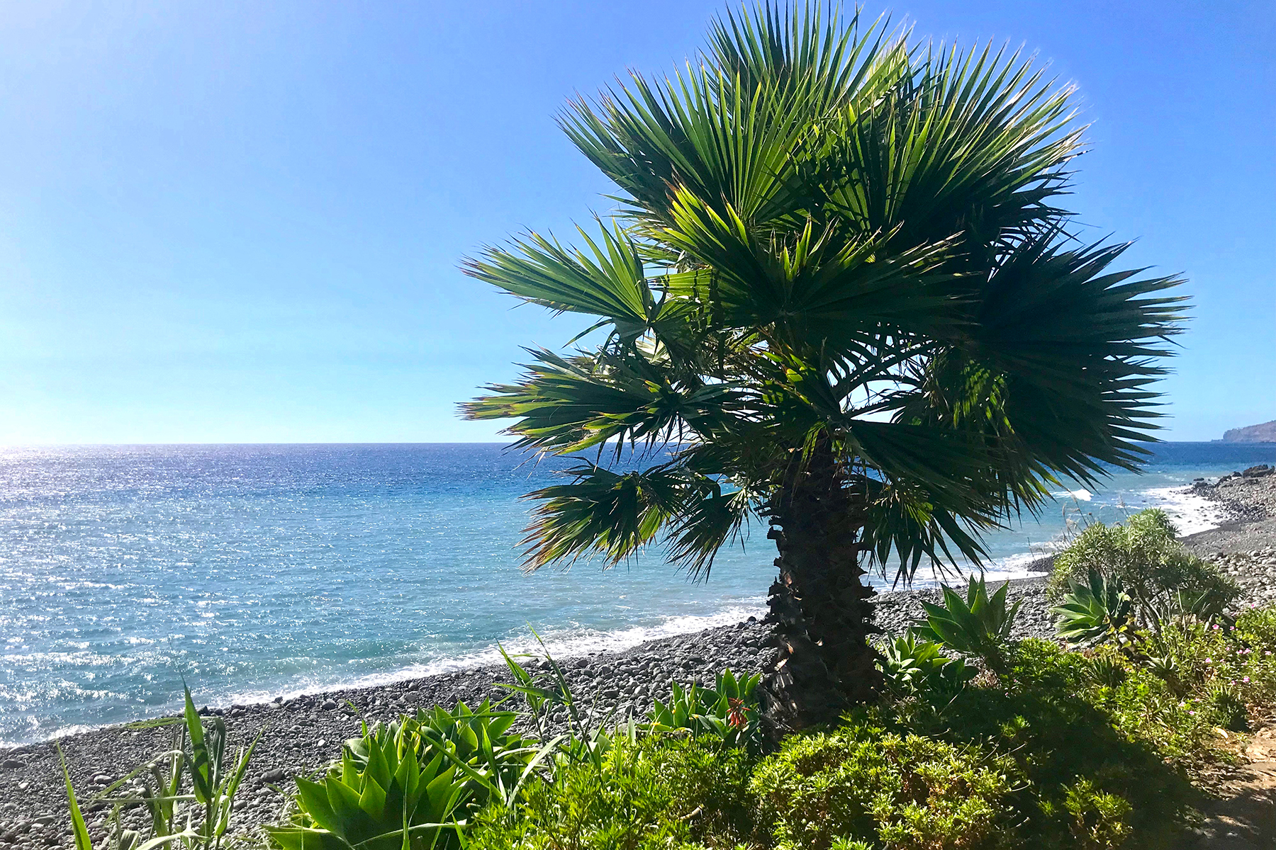 Fajã dos Padres: Die Insel an der Insel auf Madeira