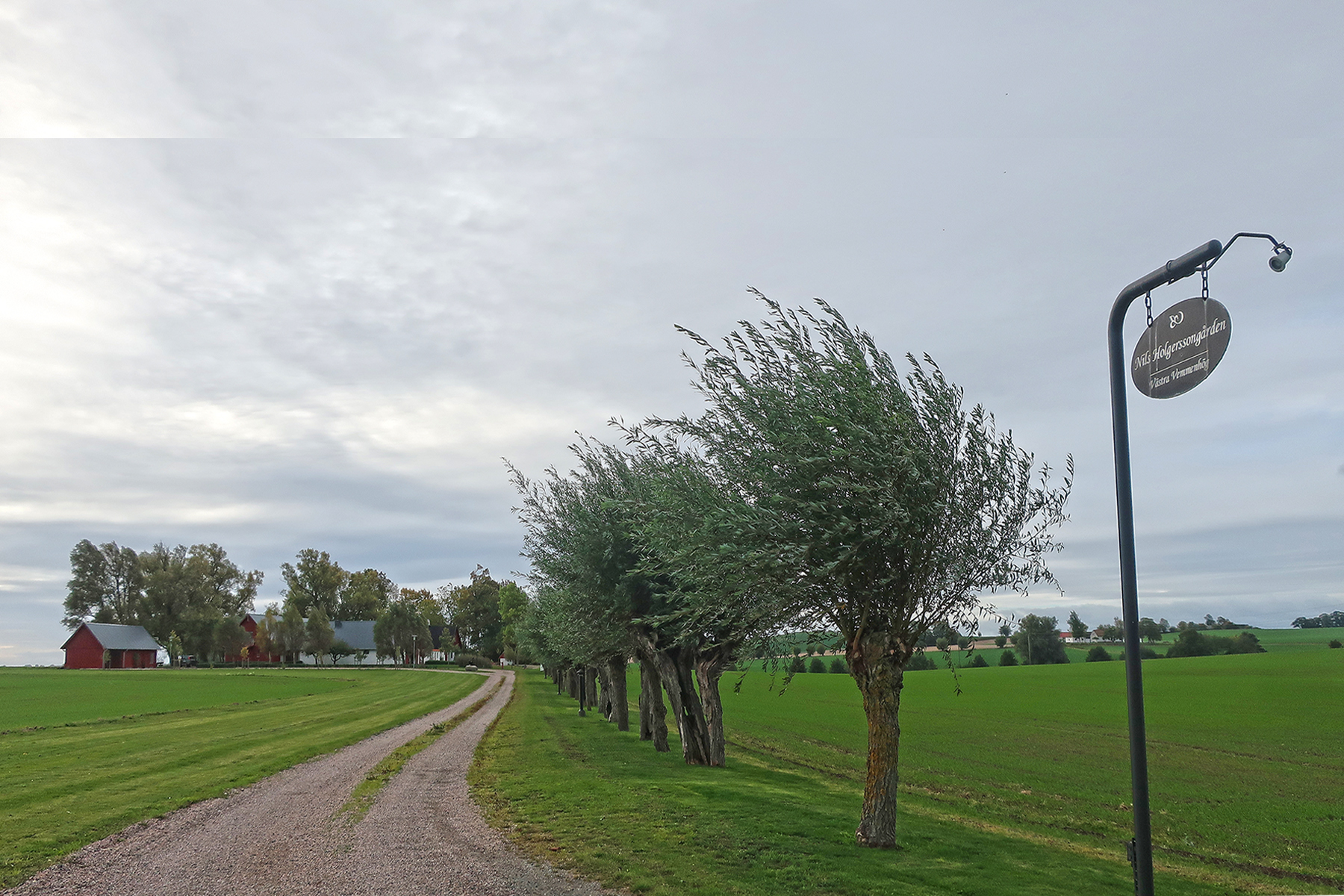 Skåne in Südschweden: Eine wunderbare Reise zu Nils Holgersson nach Schonen