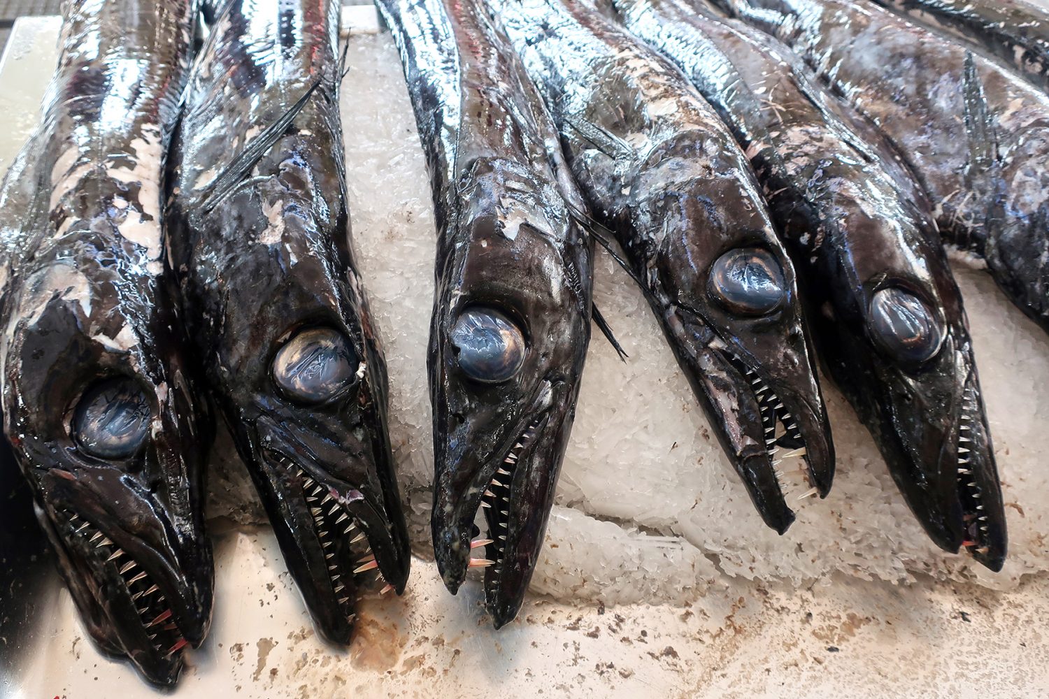 FoodGuide Madeira 16 Spezialitäten, die man im Urlaub auf Madeira