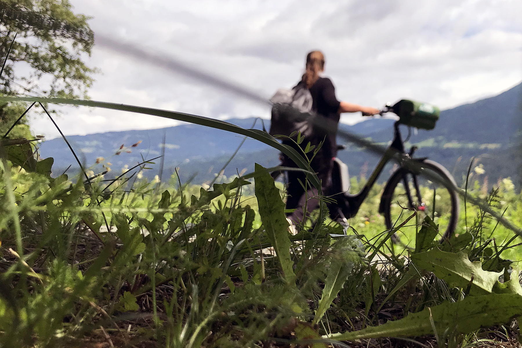 Kärnten für alle Sinne (Teil 6): Alles fließt am Drauradweg und am Draupaddelweg