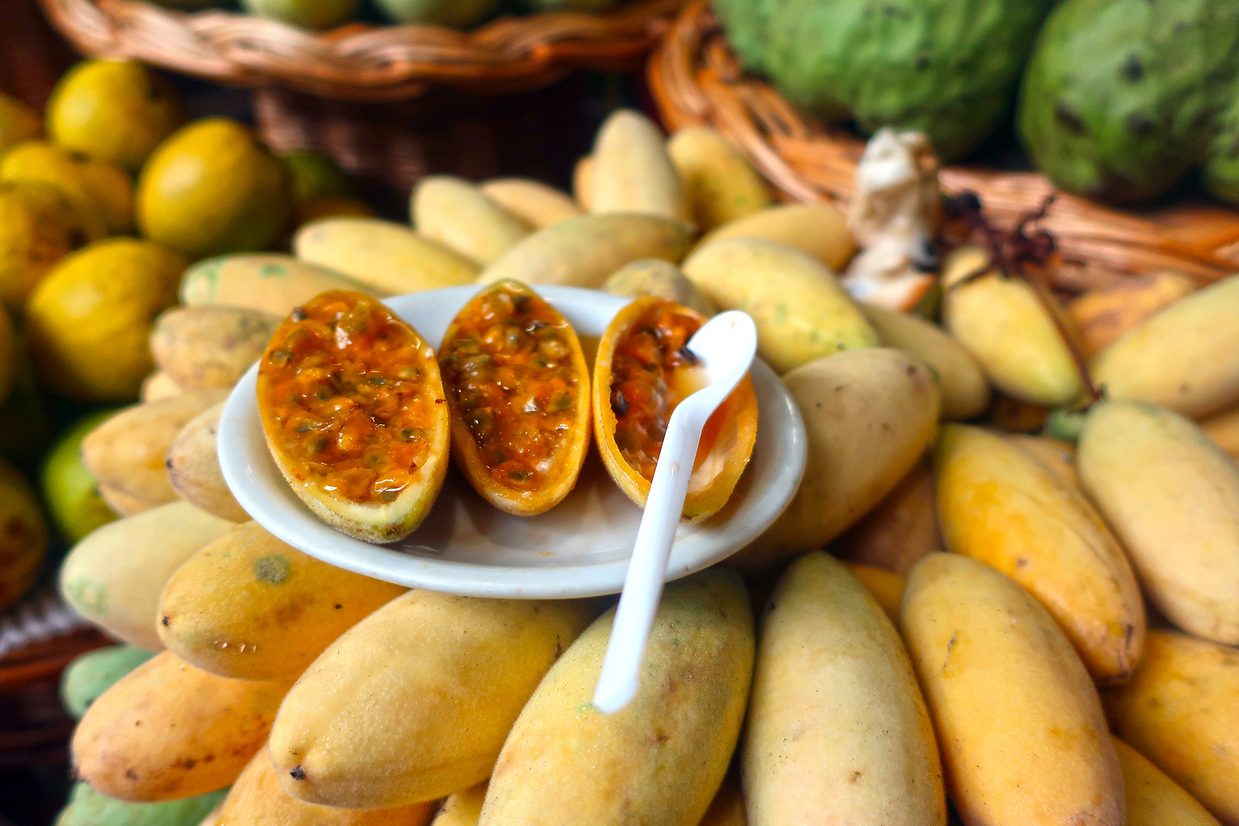 Food-Guide Madeira: 16 Spezialitäten, die man im Urlaub auf Madeira ...