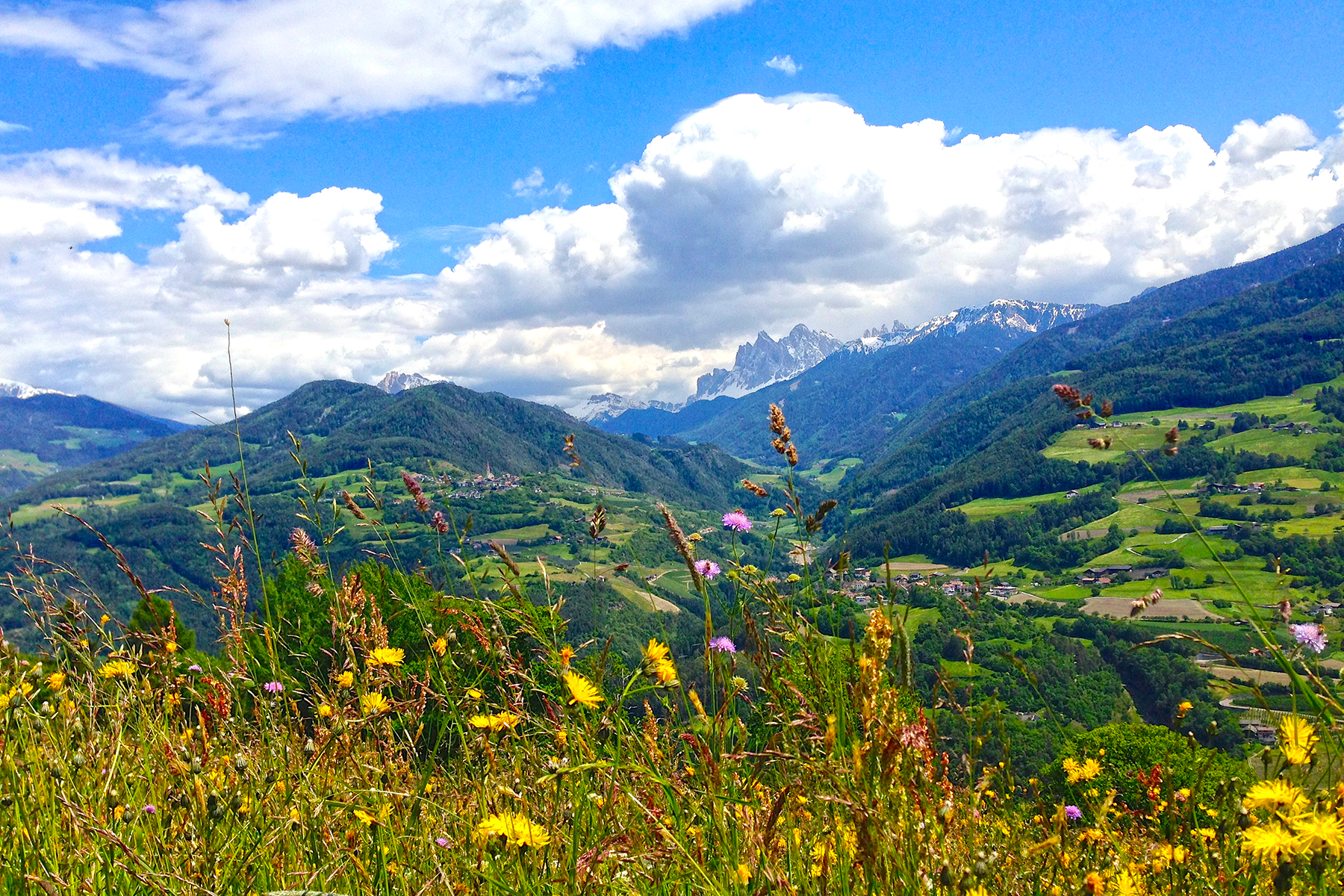 Reise-Special Südtirol: Die besten Tipps für Südtirol