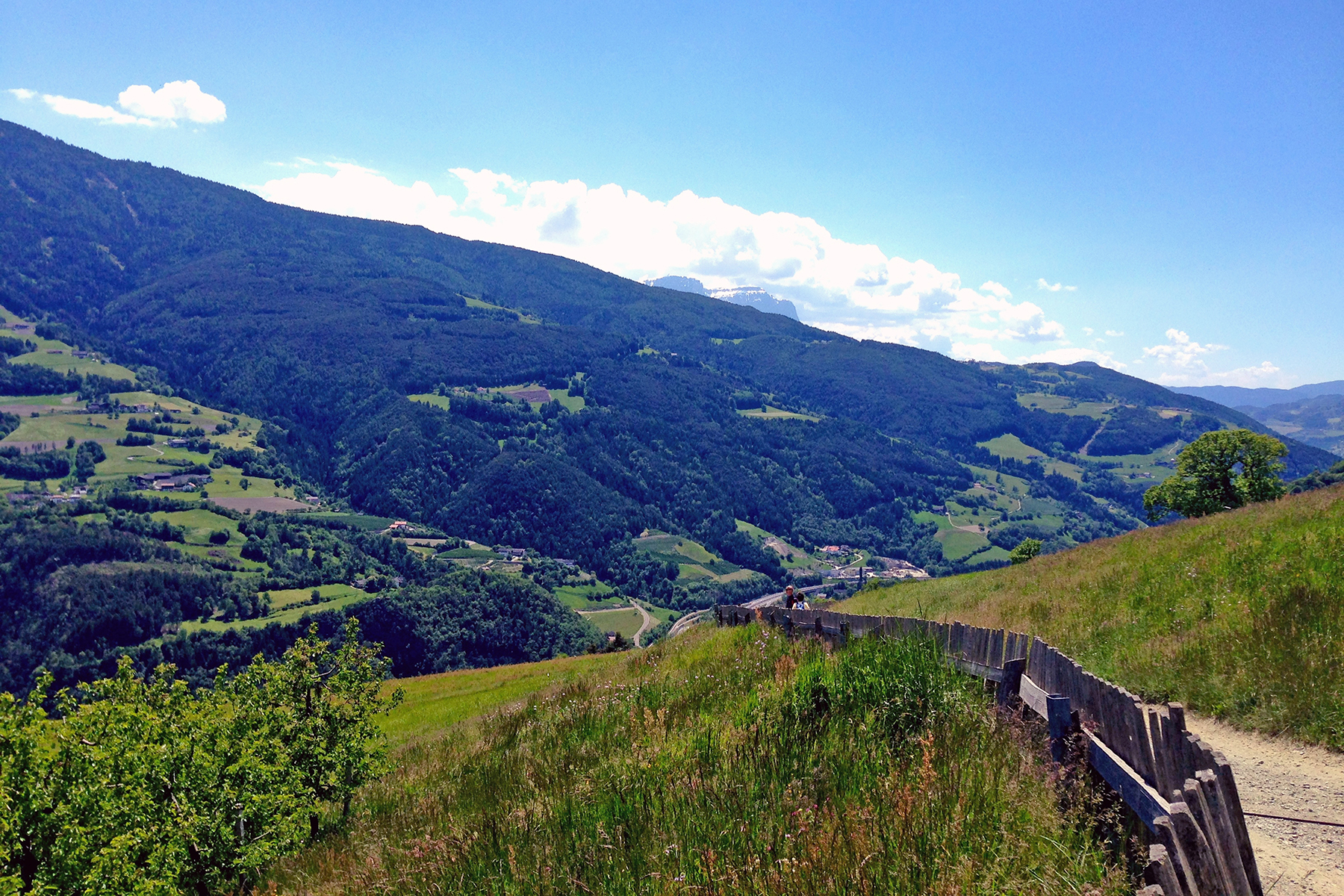 Törggelen in Südtirol: 5 praktische Tipps für den Keschtnweg