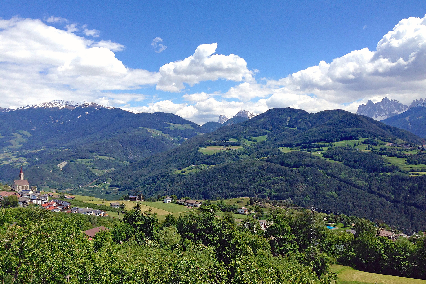 Törggelen in Südtirol: 5 praktische Tipps für den Keschtnweg