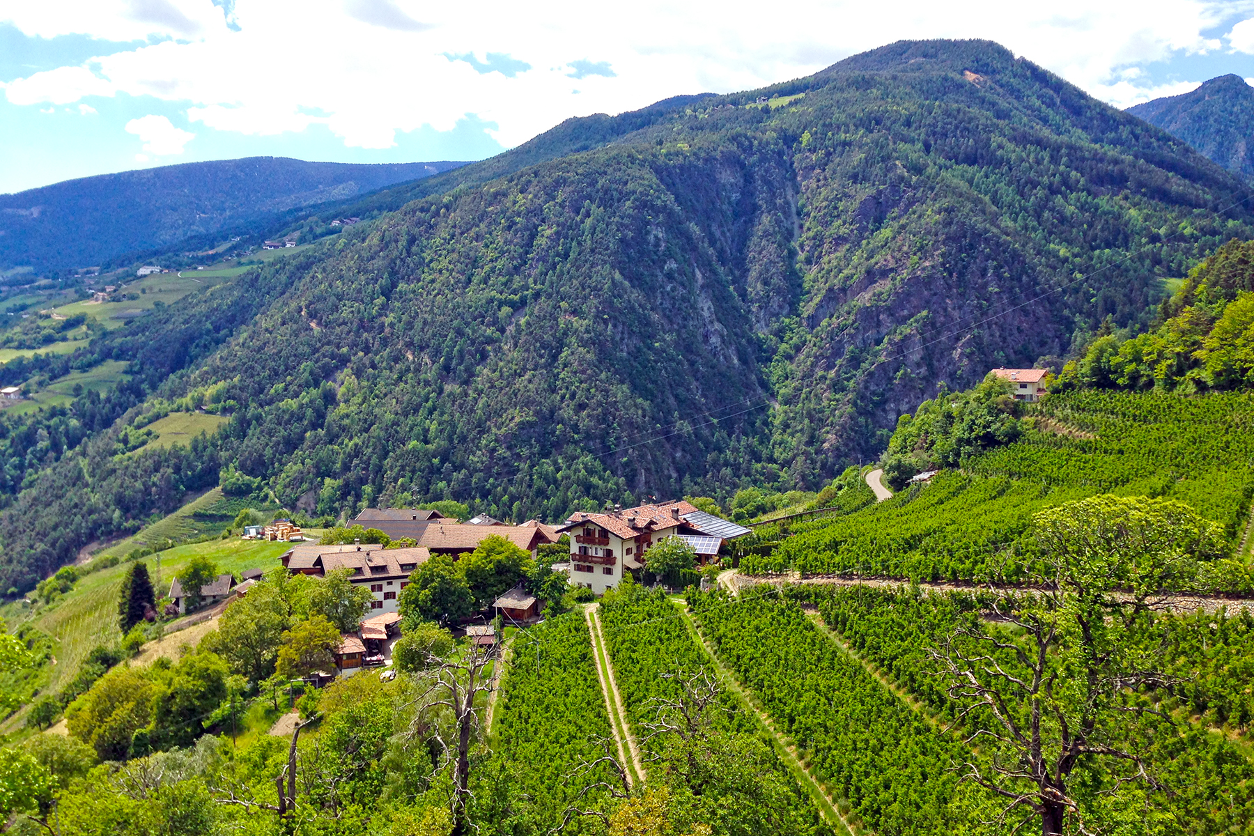Törggelen in Südtirol: 5 praktische Tipps für den Keschtnweg