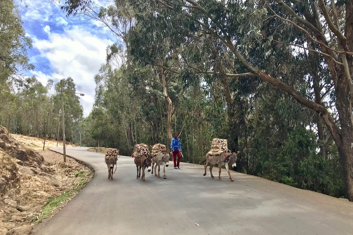 Äthiopien für Anfänger: 6 Highlights und Tipps für Addis Abeba