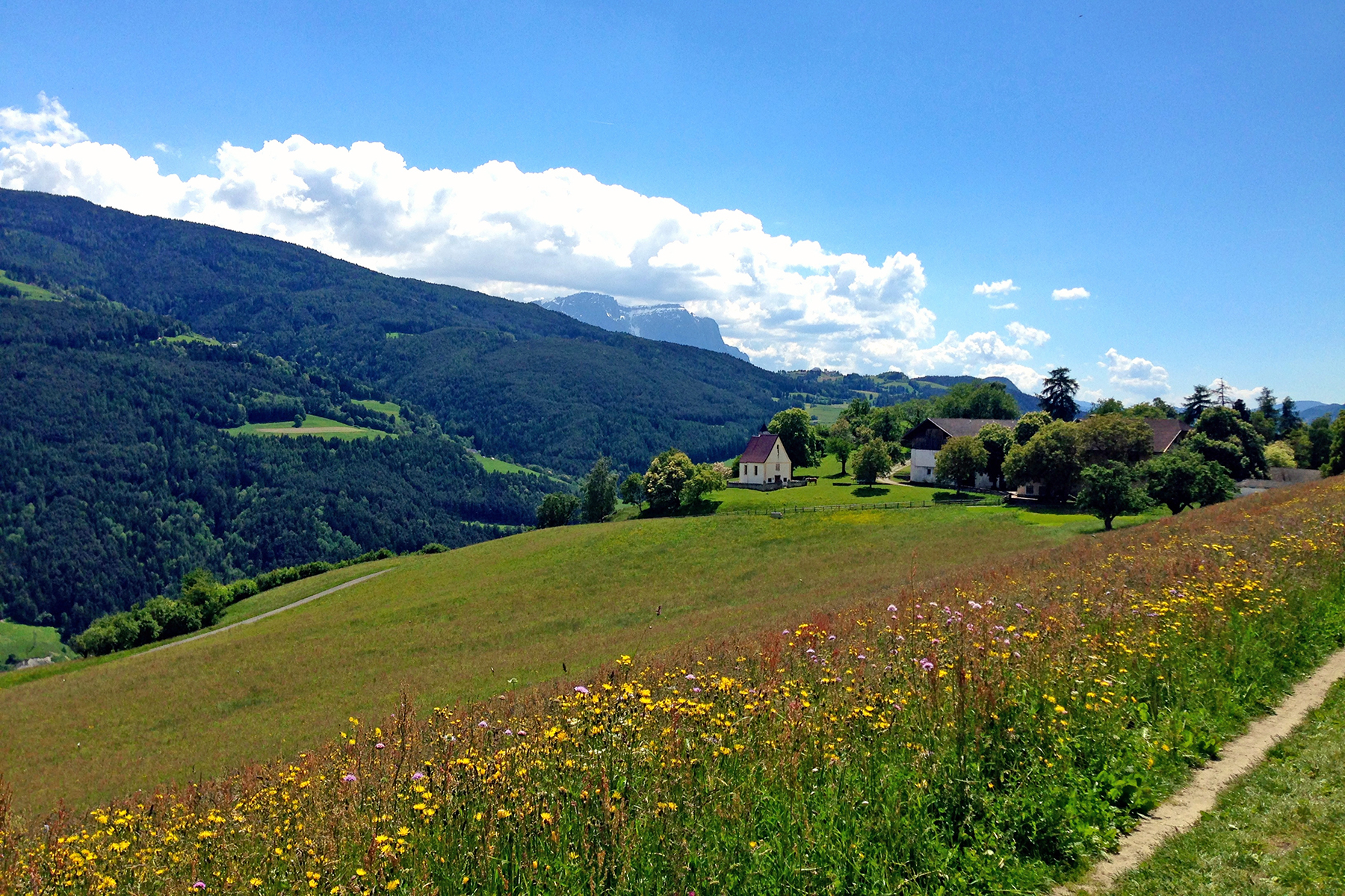 Bezaubernde Bischofsstadt in Südtirol: Die schönsten Highlights in Brixen