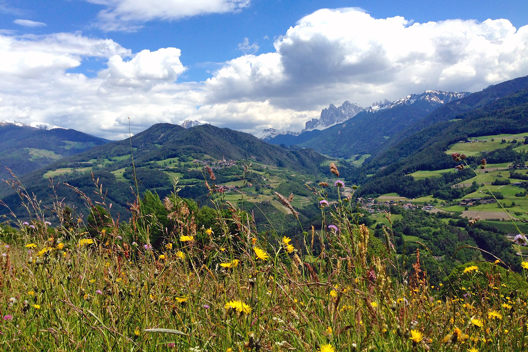 Bezaubernde Bischofsstadt in Südtirol: Die schönsten Highlights in Brixen